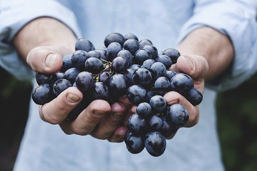 Top 12 Health Benefits of Eating Grapes 52 g12